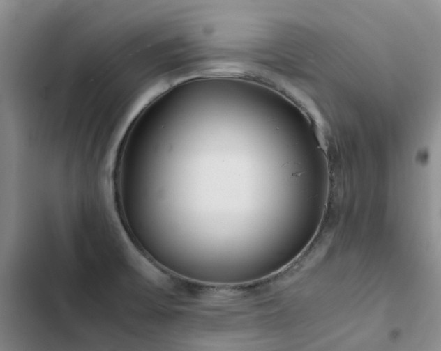 X0000102841475200808181336