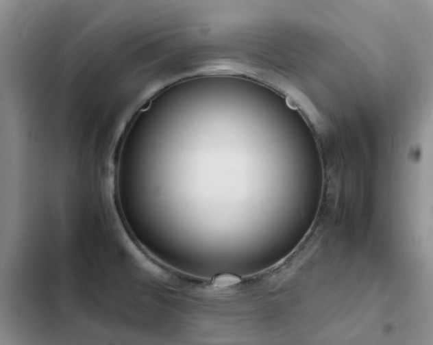 X0000102841476200808181336