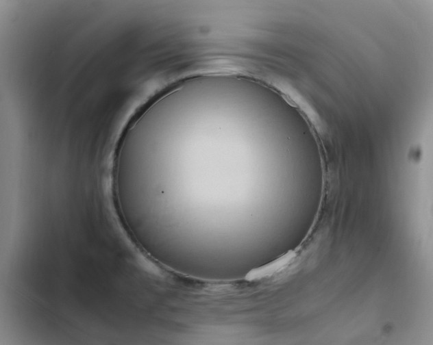 X0000102841477200808181336