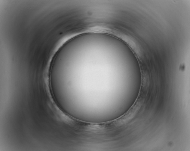 X0000102841478200808181336