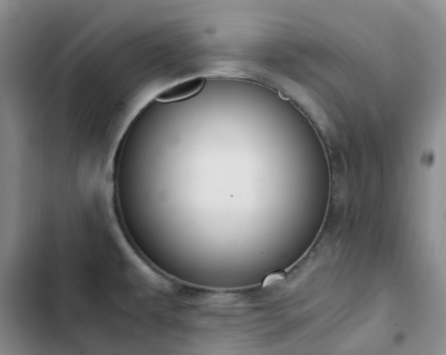 X0000102841479200808181336