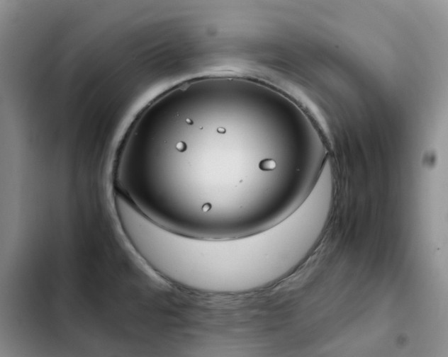 X0000102841480200808181336