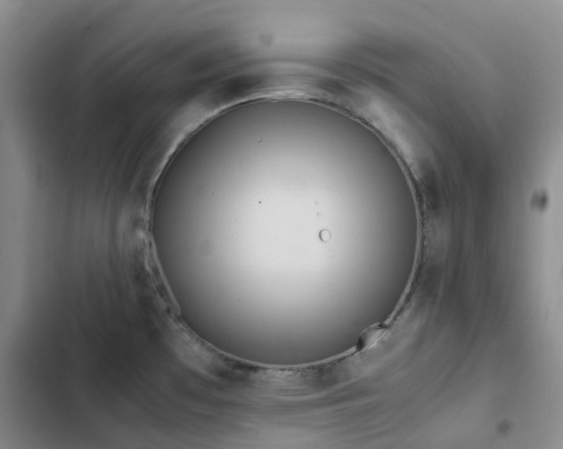 X0000102841481200808181336