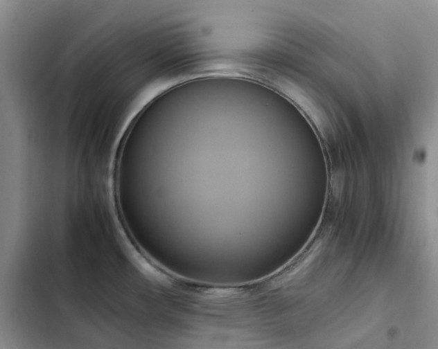 X0000102841482200808181336