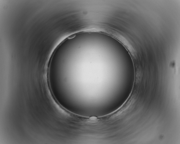 X0000102841484200808181336