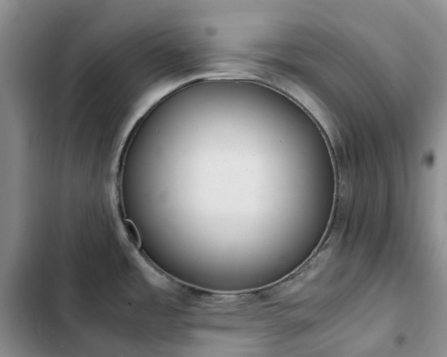 X0000102841485200808181336