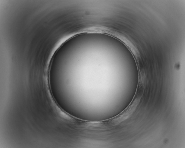 X0000102841486200808181336