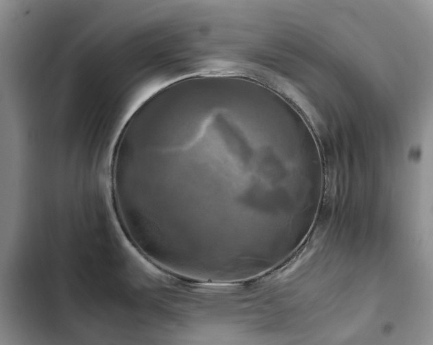 X0000102841487200808181336