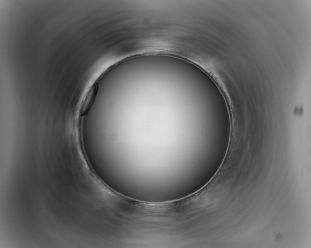 X0000102841488200808181336