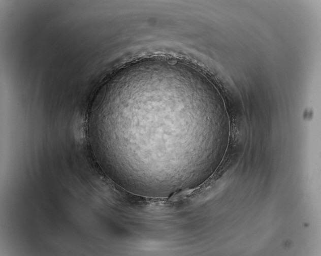 X0000102841490200808181335