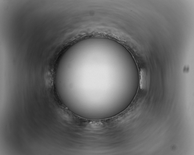 X0000102841491200808181335