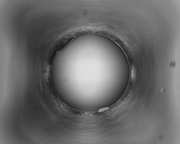 X0000102841492200808181335