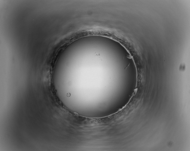 X0000102841493200808181335