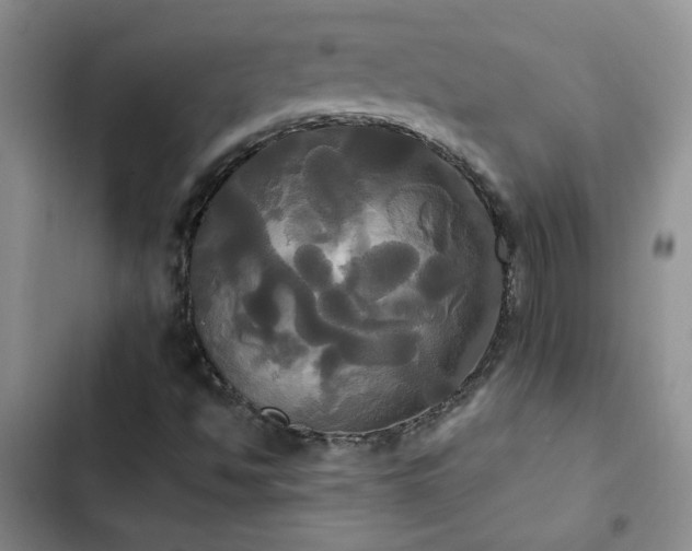 X0000102841494200808181335