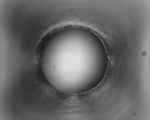 X0000102841495200808181335