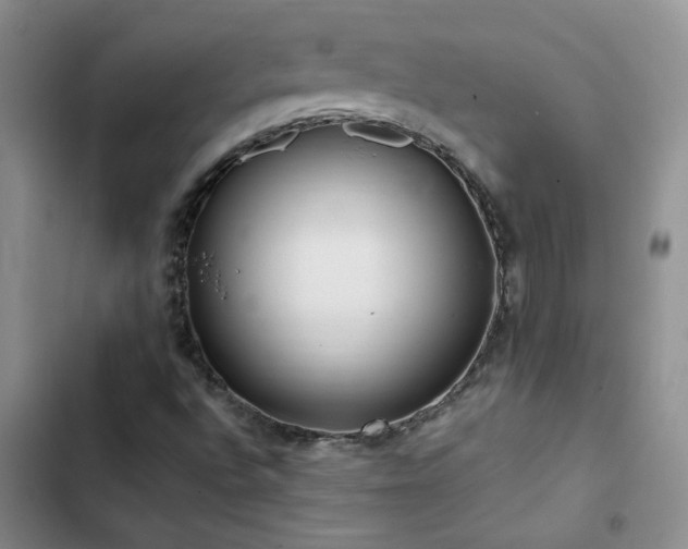 X0000102841496200808181335