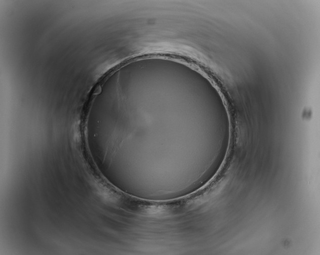 X0000102841497200808181335