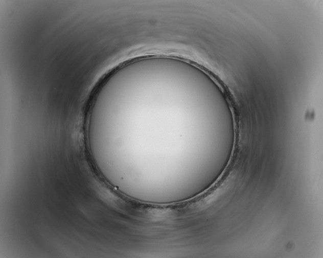 X0000102841498200808181335