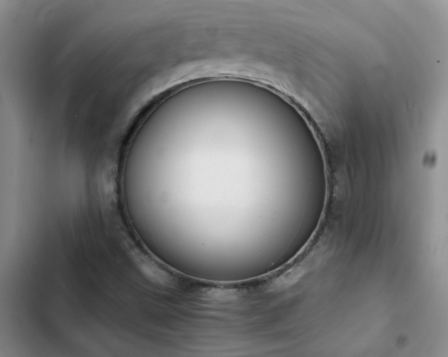 X0000102841499200808181335