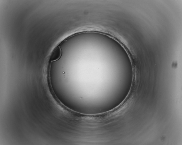 X0000102841500200808181335