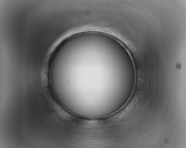 X0000102841502200808181335