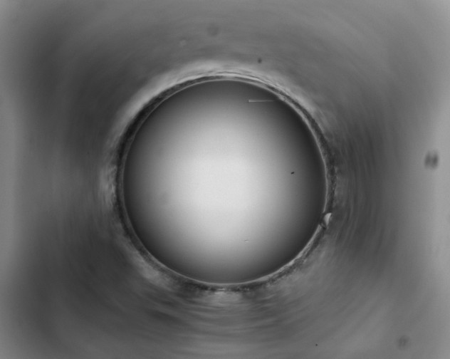 X0000102841503200808181335