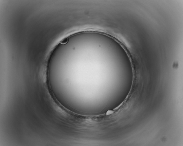 X0000102841504200808181335