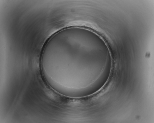 X0000102841505200808181335