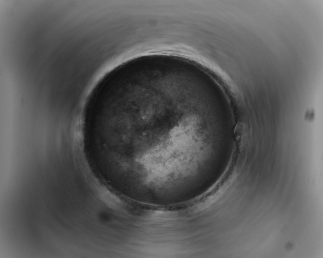 X0000102841506200808181335