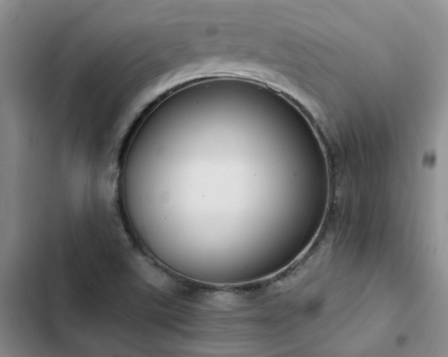X0000102841507200808181335