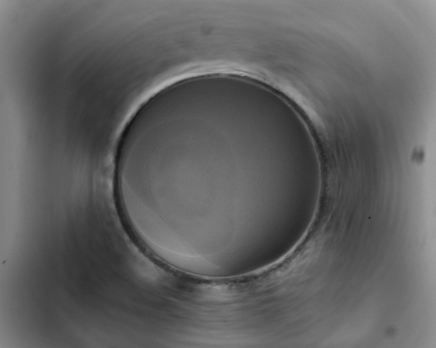 X0000102841508200808181335