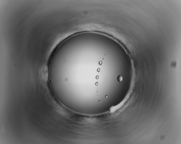 X0000102841509200808181335