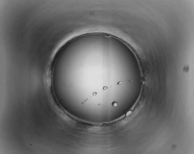 X0000102841510200808181335