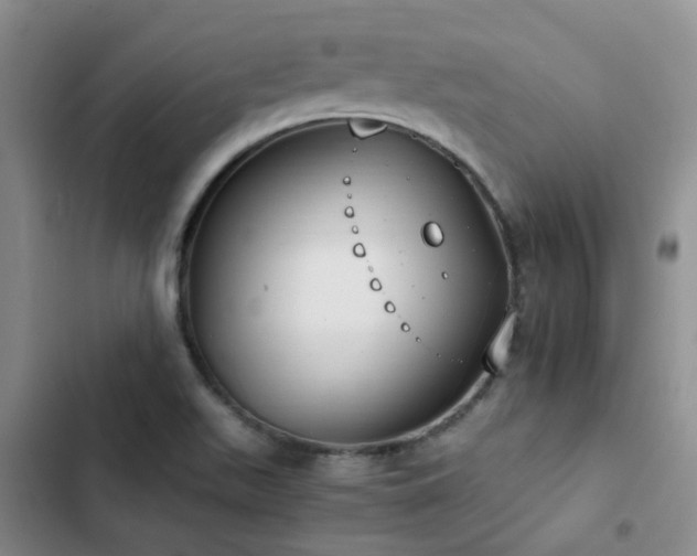 X0000102841511200808181335