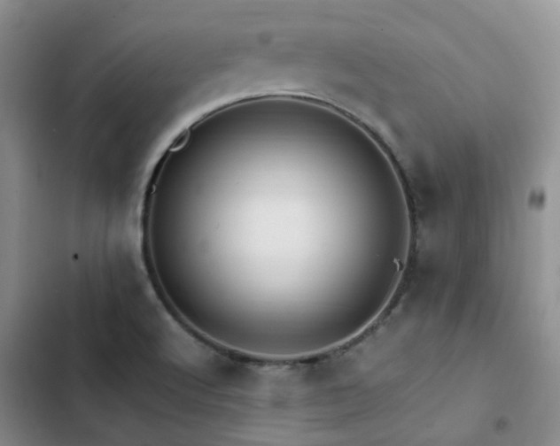 X0000102841512200808181335