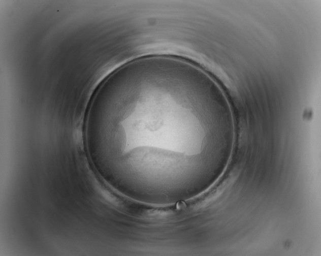 X0000102841513200808181335