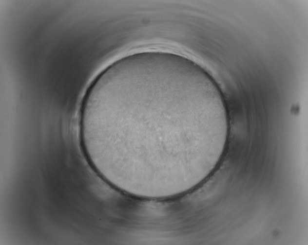 X0000102841514200808181335