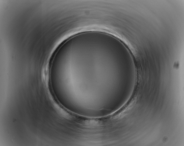 X0000102841515200808181335