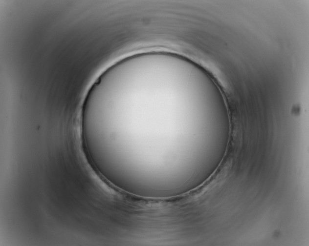 X0000102841516200808181335