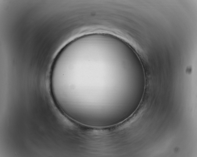 X0000102841518200808181335