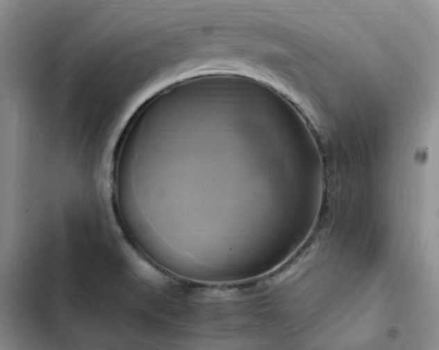X0000102841519200808181335