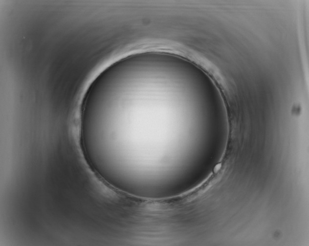 X0000102841520200808181335