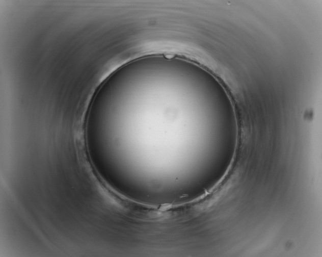X0000102841521200808181335