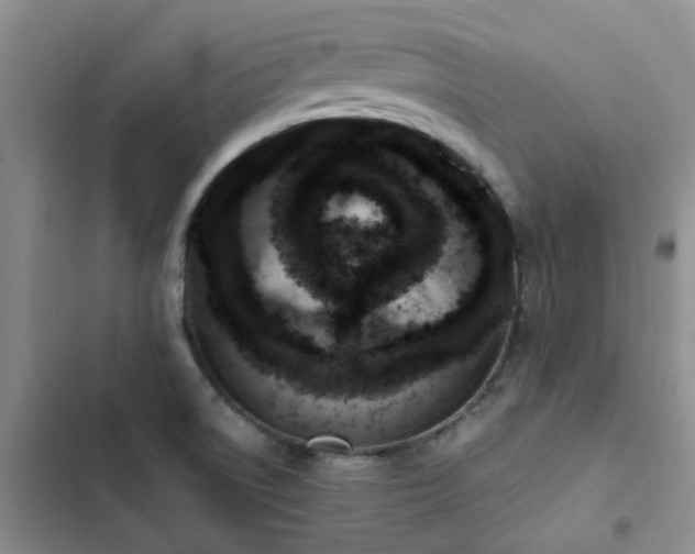 X0000102841522200808181335