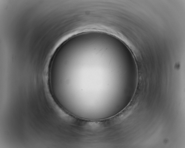 X0000102841523200808181335