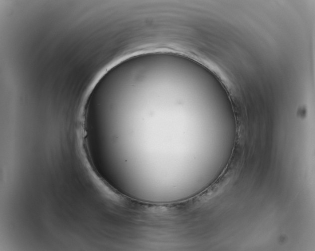 X0000102841524200808181335