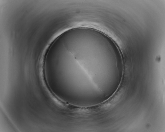 X0000102841525200808181335