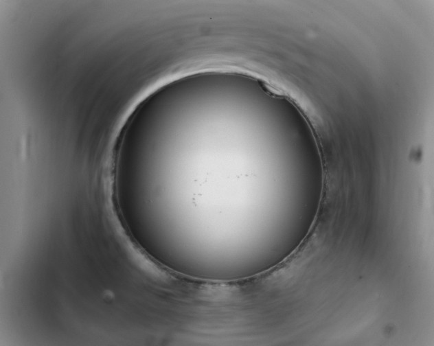 X0000102841526200808181335