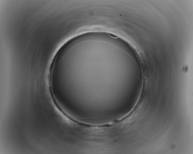 X0000102841527200808181335
