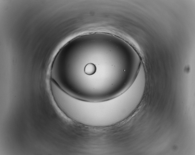 X0000102841528200808181335